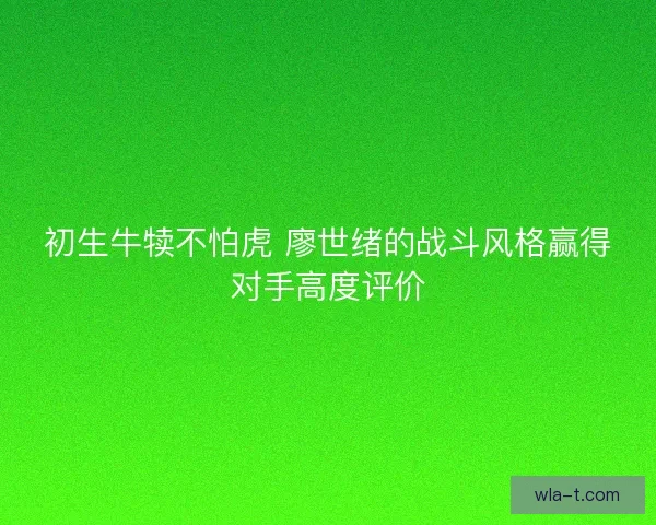 初生牛犊不怕虎 廖世绪的战斗风格赢得对手高度评价