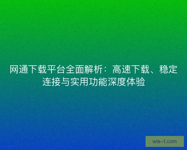 网通下载平台全面解析：高速下载、稳定连接与实用功能深度体验