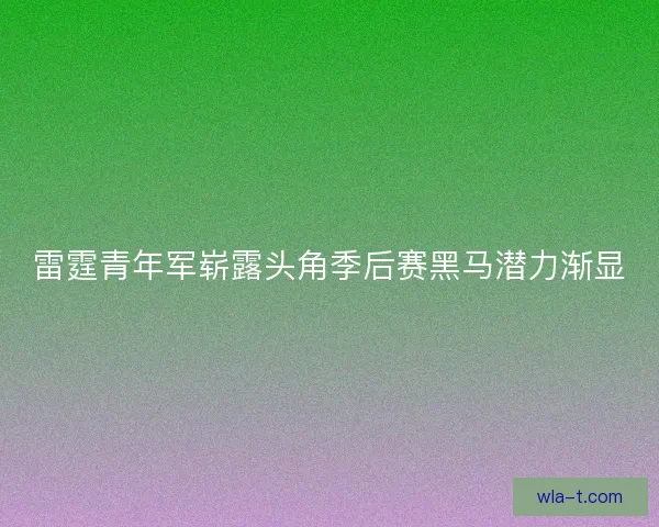 雷霆青年军崭露头角季后赛黑马潜力渐显