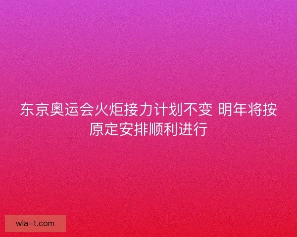 东京奥运会火炬接力计划不变 明年将按原定安排顺利进行