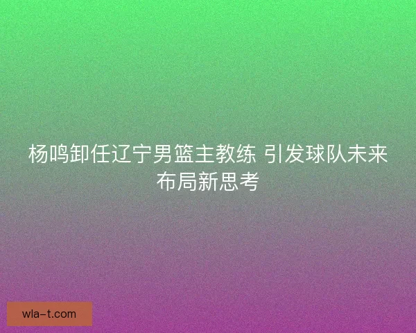 杨鸣卸任辽宁男篮主教练 引发球队未来布局新思考
