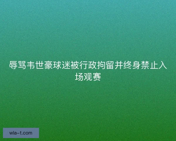 辱骂韦世豪球迷被行政拘留并终身禁止入场观赛
