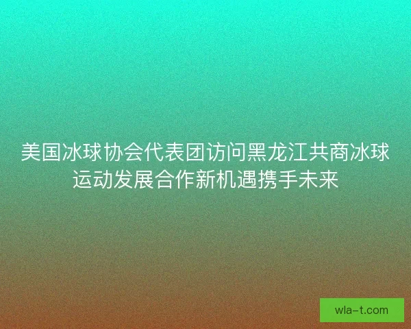 美国冰球协会代表团访问黑龙江共商冰球运动发展合作新机遇携手未来
