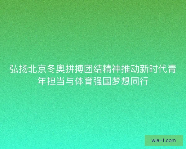 弘扬北京冬奥拼搏团结精神推动新时代青年担当与体育强国梦想同行